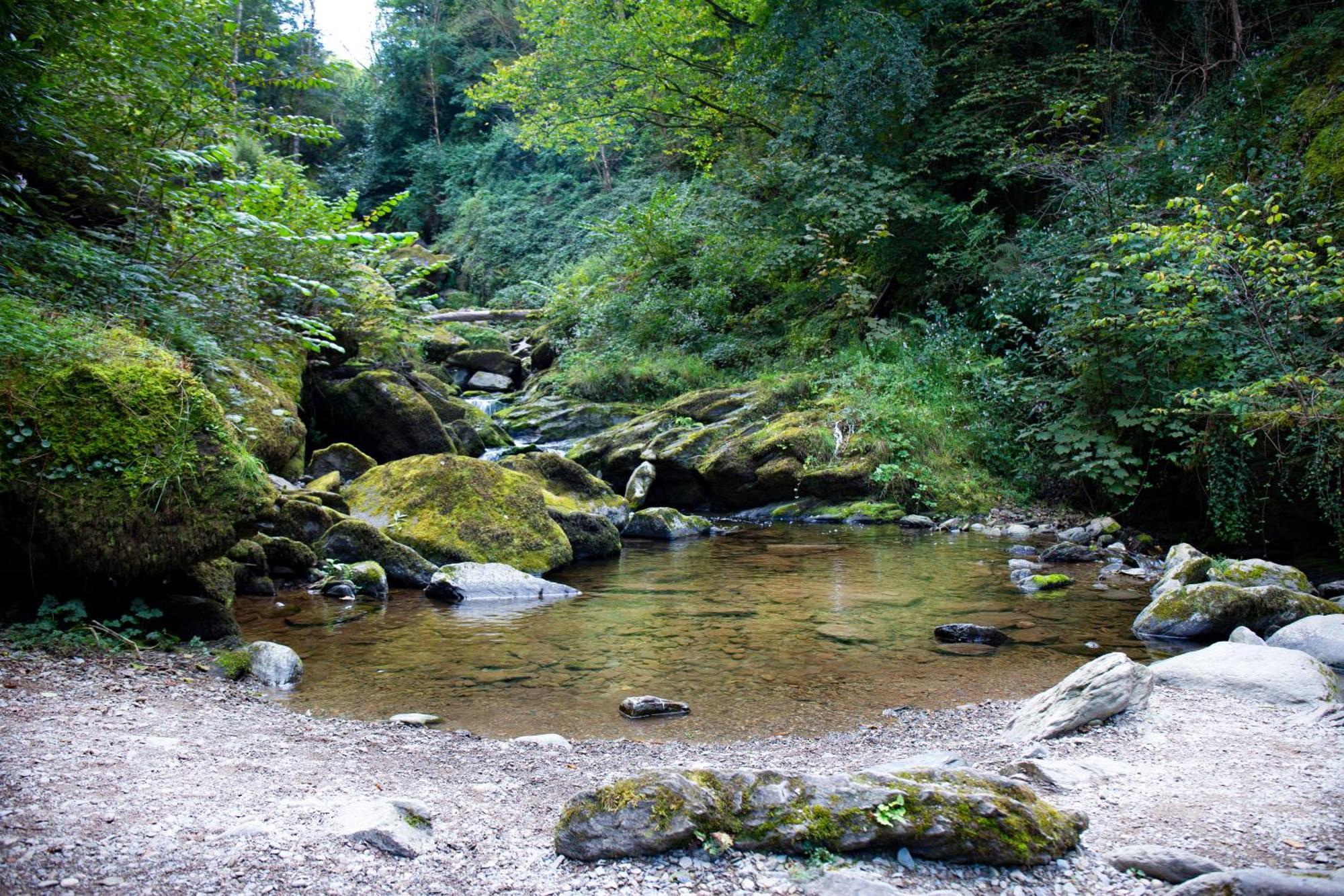 Apartamento Tors Park Lynmouth Exterior foto